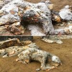 Misteri Batu dan Keabadian dalam Cerita Mitologi Sunda